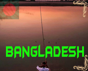 Free Comilla - Bangladesh telegram groups