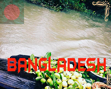 Jessore -Bangladesh New telegram groups list