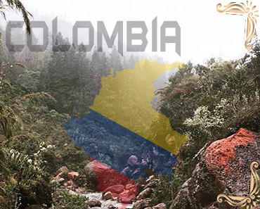 Join Free Palmira - Colombia telegram groups