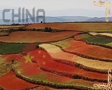 Shijiazhuang – China telegram groups