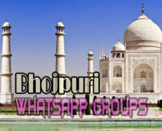 Bhojpuri WhatsApp group