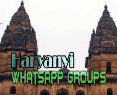 Haryanvi WhatsApp group