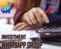 Investment Whatsapp Group