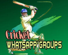 Cricket WhatsApp Group