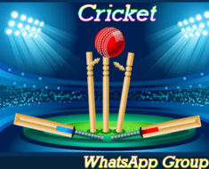 Best Cricket WhatsApp Group