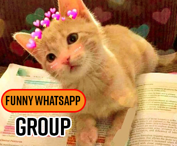 Best Funny WhatsApp Group