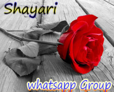 Best Shayari WhatsApp Group