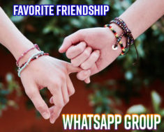 Favorite Friendship whatsApp Group
