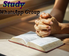 Study WhatsApp Group