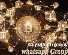 Vip Cryptocurrency WhatsApp Group
