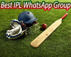 Best IPL WhatsApp Group