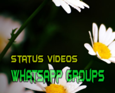 Status Videos WhatsApp group links