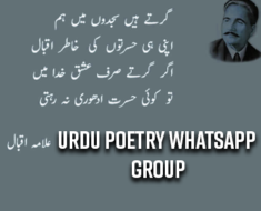 Urdu Poetry WhatsApp Group Updated