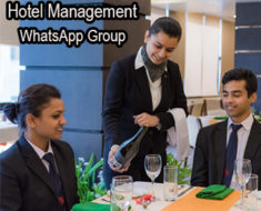 VIP Hotel Management WhatsApp Group